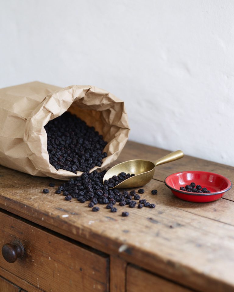 Small dark currants spilling from a brown paper bag onto an old wooden counter, a brass scoop and a red enamel dish holding a few currants, a white wall behind